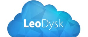 LeoDysk-logo-uslugi